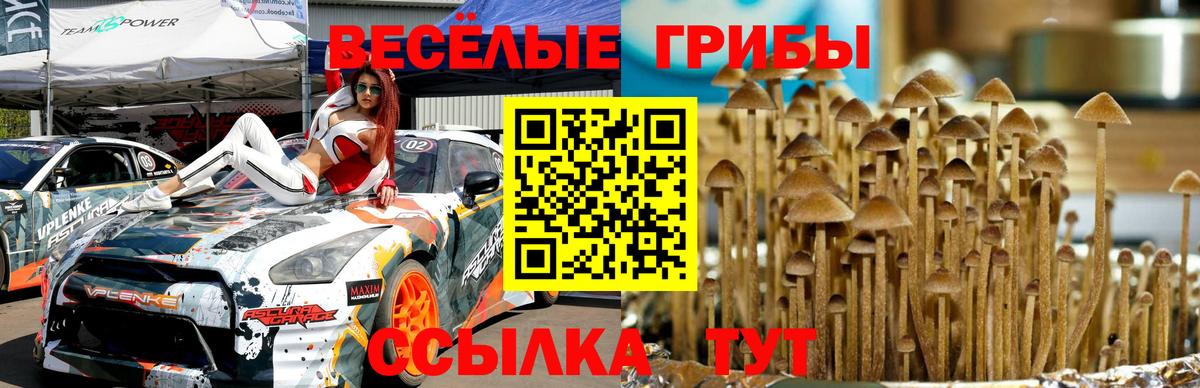 Азнакаево  наркота  Галлюциногенные грибы мухоморы  Вход с VPN  Псилоцибиновые грибы мицелий 