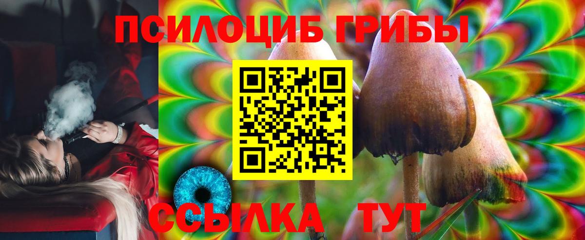 Псилоцибиновые грибы Cubensis Азнакаево